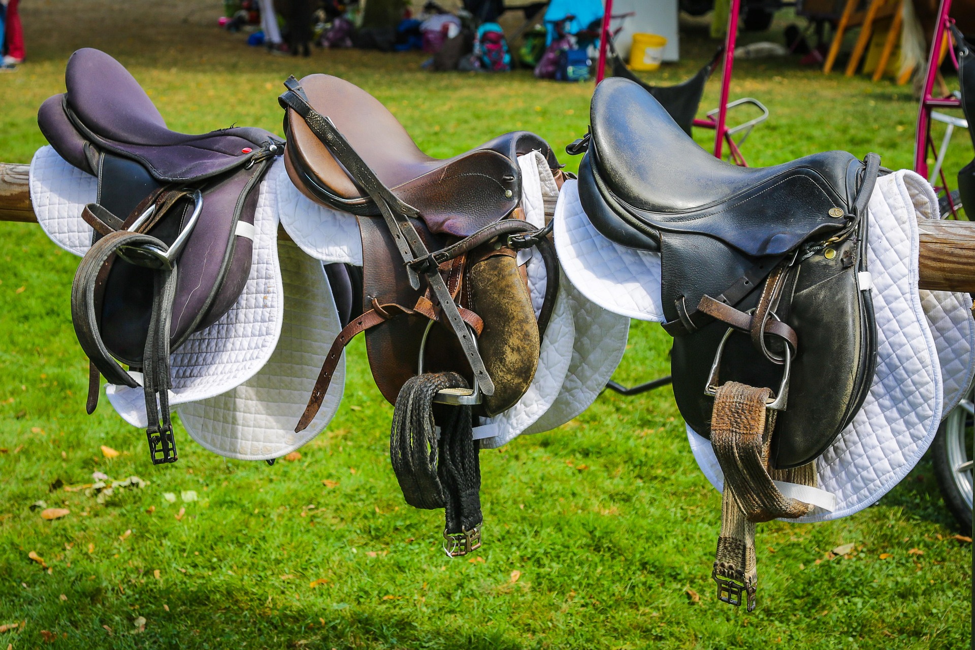 Horse saddles